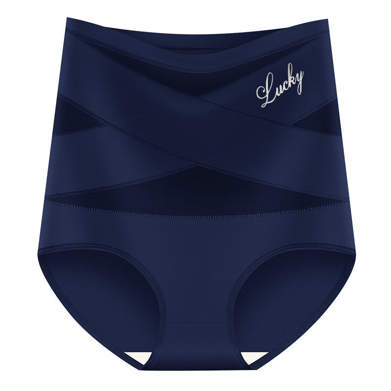 Women's Plus Size High Waist Tummy Control Briefs