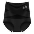 Women's Plus Size High Waist Tummy Control Briefs