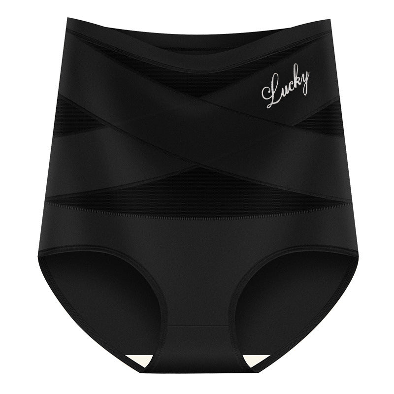 Women's Plus Size High Waist Tummy Control Briefs