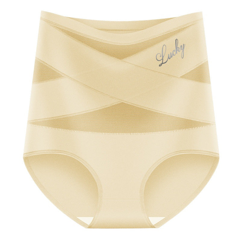 Women's Plus Size High Waist Tummy Control Briefs